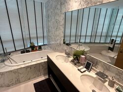 Ion Orchard (D9), Condominium #483896281